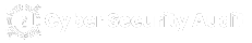 Cybersecurity Audit